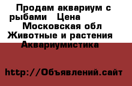 Продам аквариум с рыбами › Цена ­ 13 000 - Московская обл. Животные и растения » Аквариумистика   